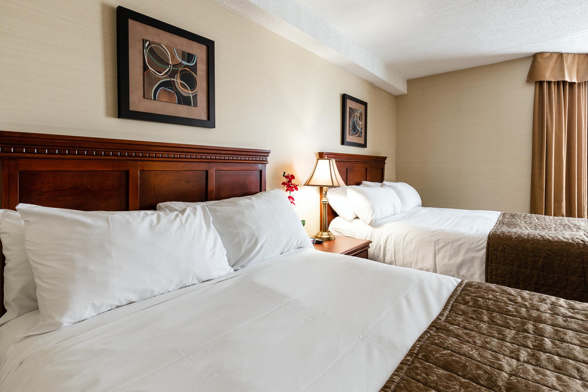 Welcominns Оттава Экстерьер фото