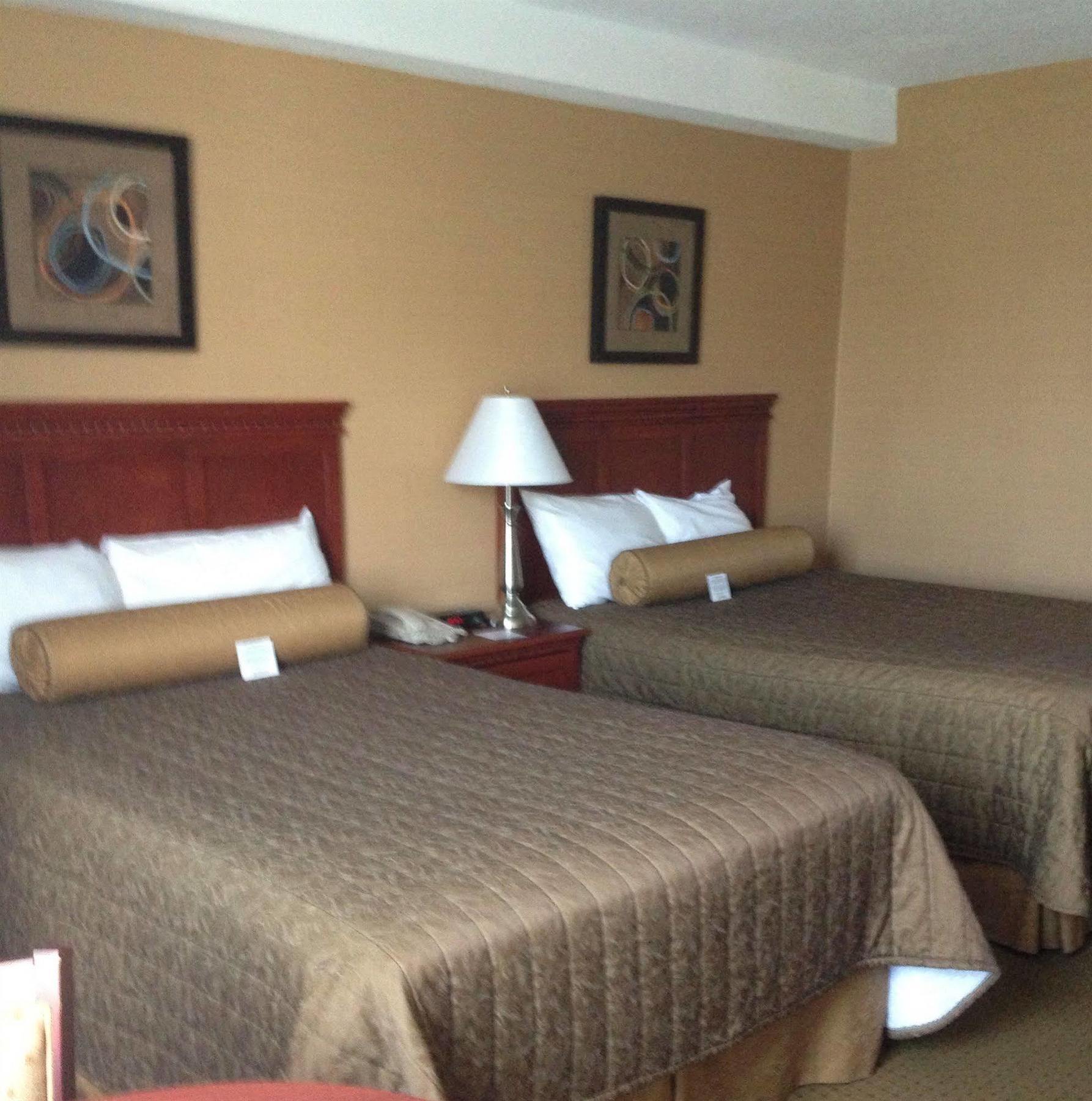 Welcominns Оттава Экстерьер фото